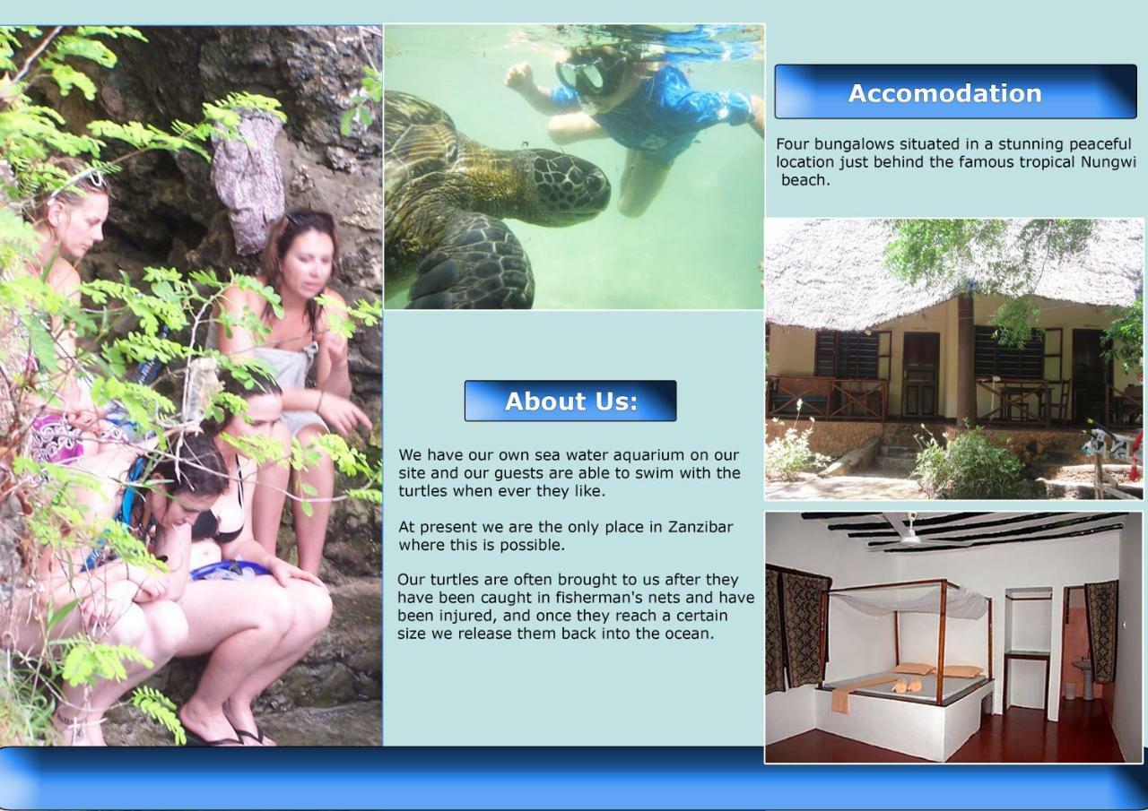 Baraka Aquarium Bungalows Nungwi Exterior foto