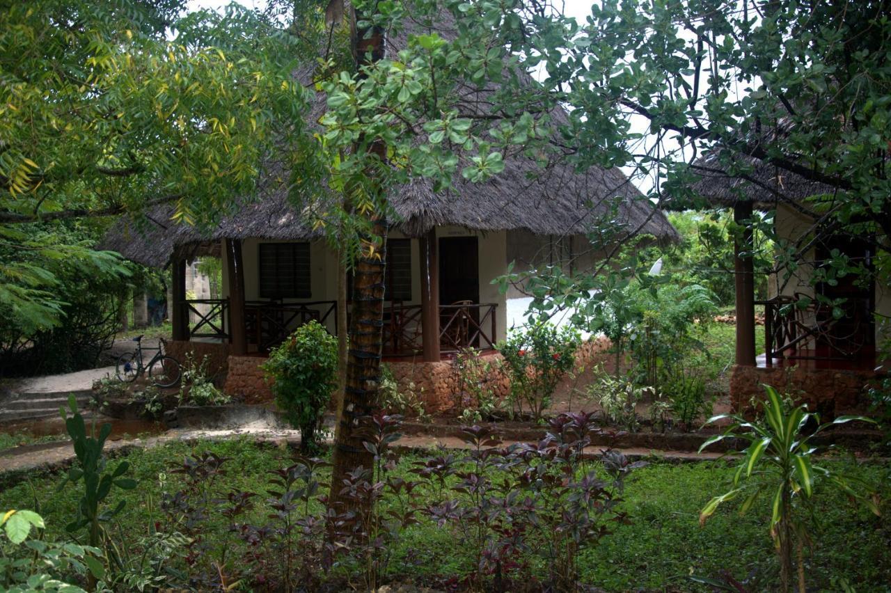 Baraka Aquarium Bungalows Nungwi Exterior foto